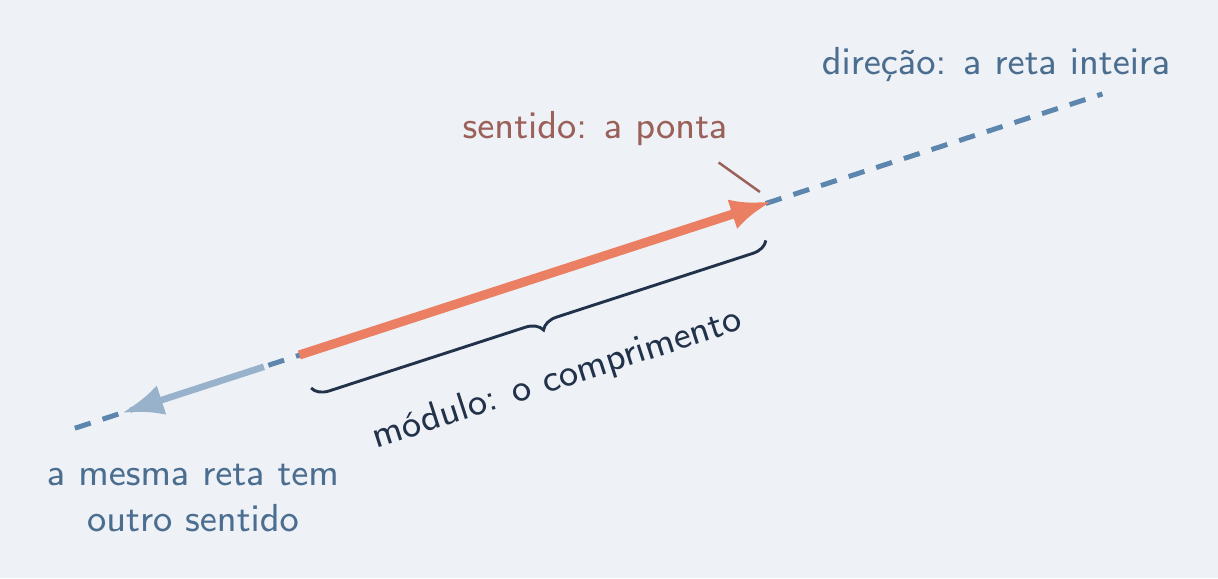 Seta com módulo, reta e ponta indicados