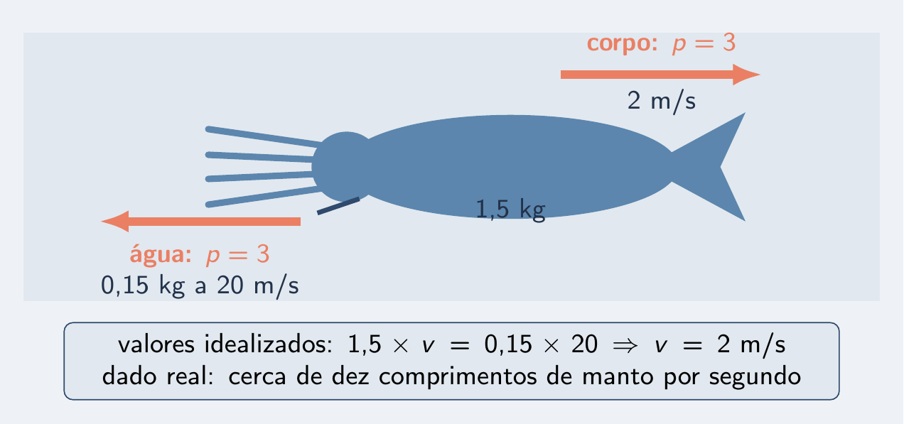 Calamar com o jato para trás e o corpo para a frente, setas de 3