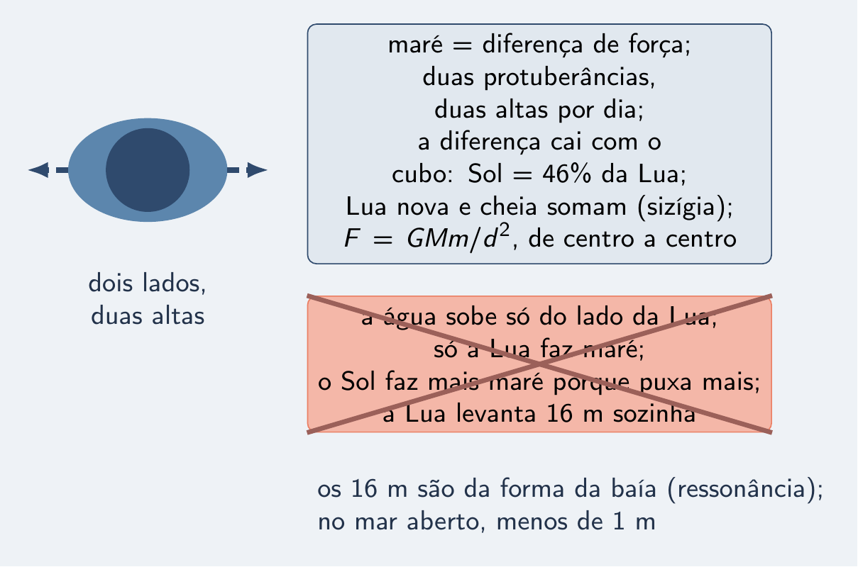 Distratores sobre marés