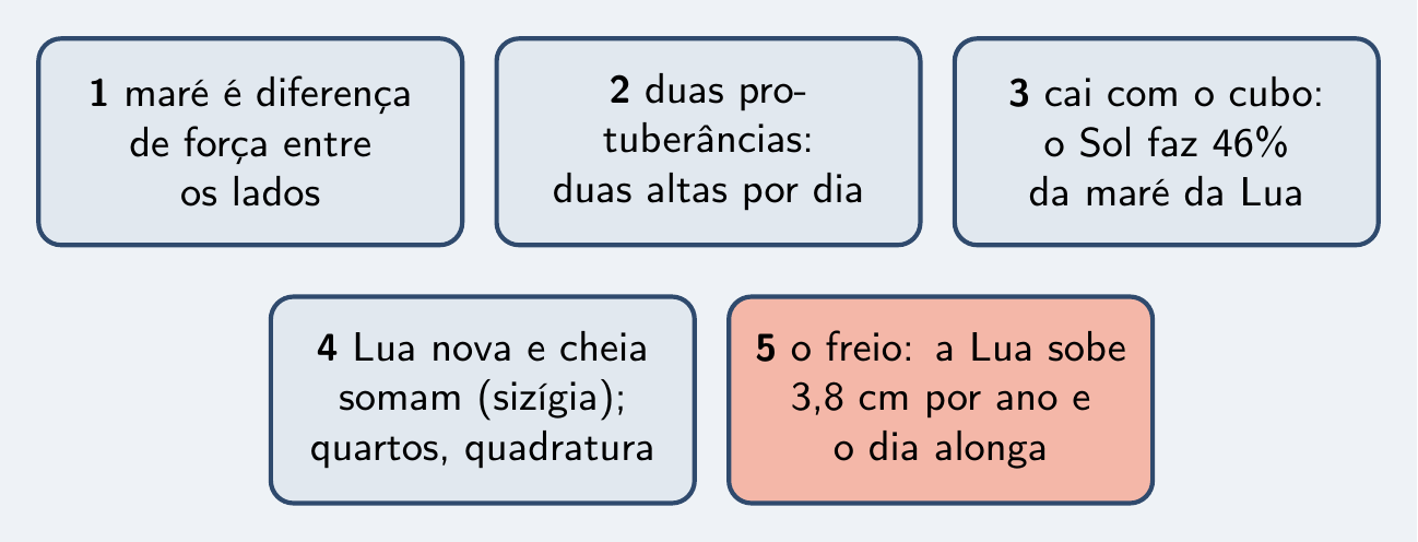 As cinco peças do episódio