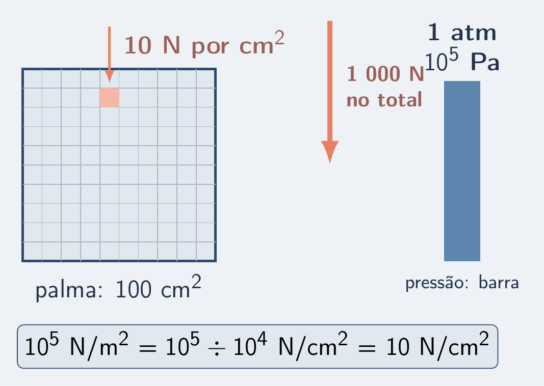 Grade de 100 cm² com 10 N em cada quadradinho